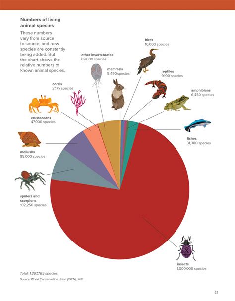 What is 95 percent of all animals?
